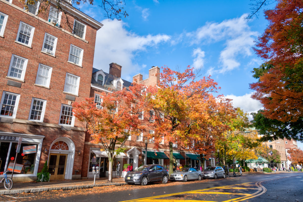 autumn trees lining Nassau Street