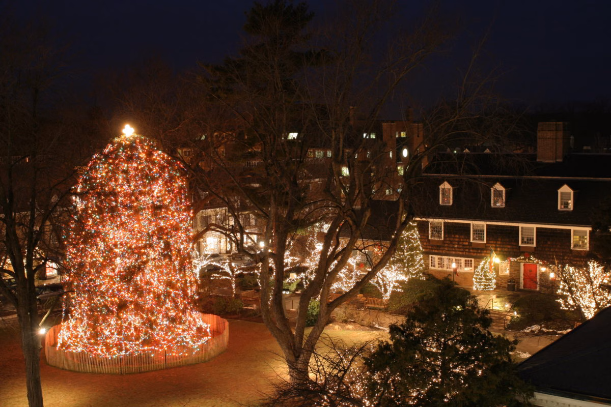 rooftop view of holiday lights