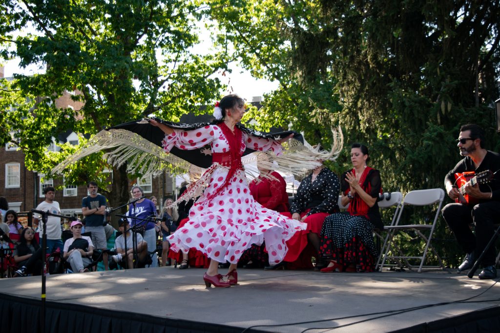 festival cultural 2025 (28)