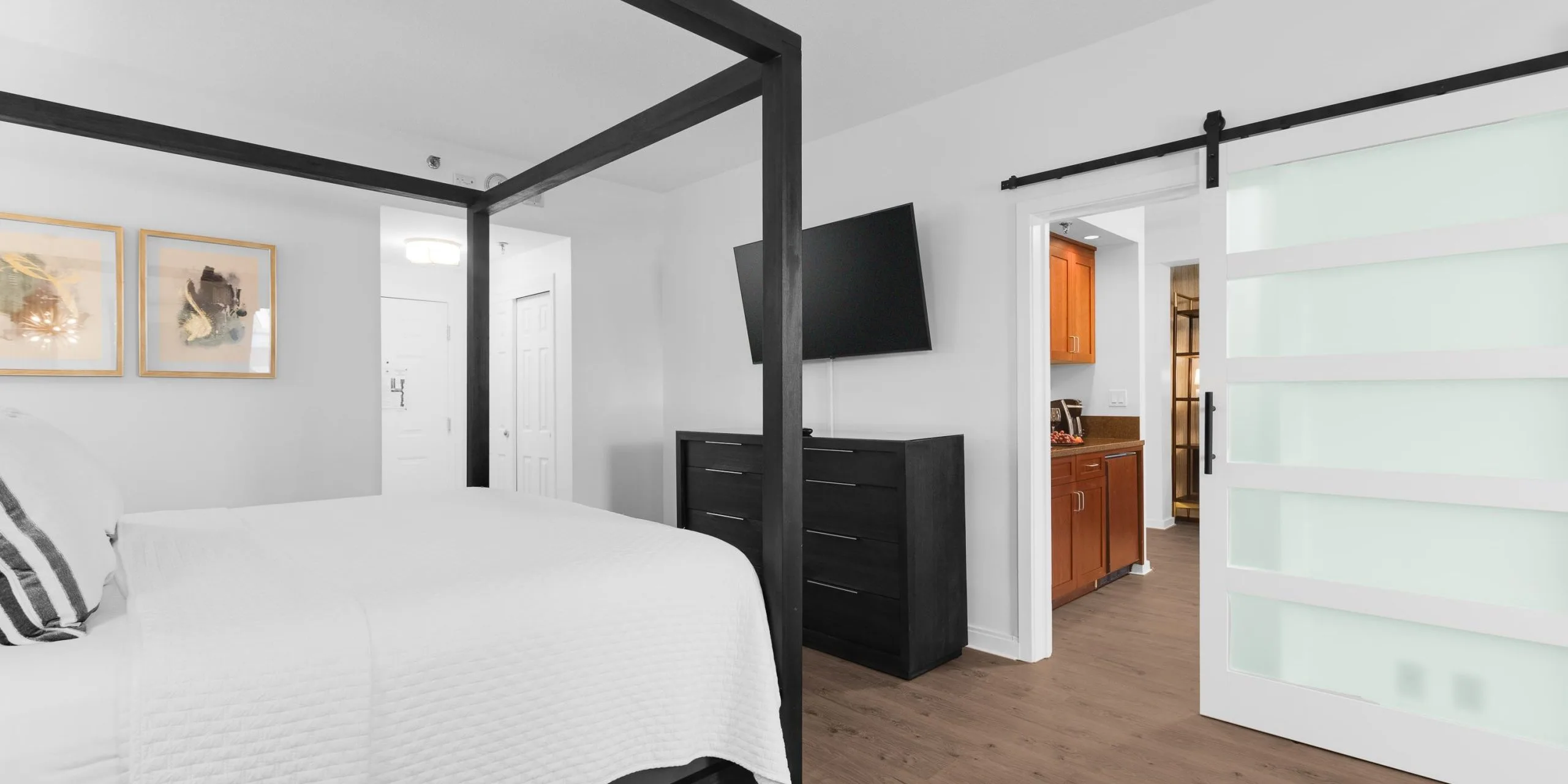 Albert Einstein Suite