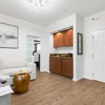 Albert Einstein Suite