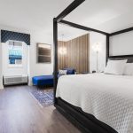 Albert Einstein Suite