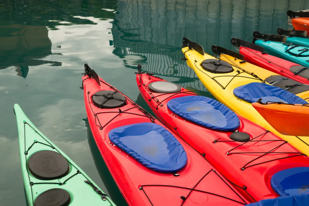kayaks in multiple color float marine harbor
