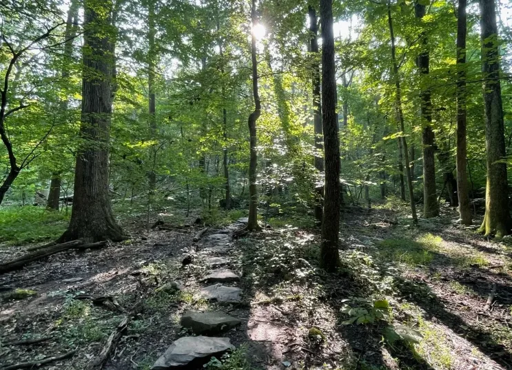 arboretum greenery