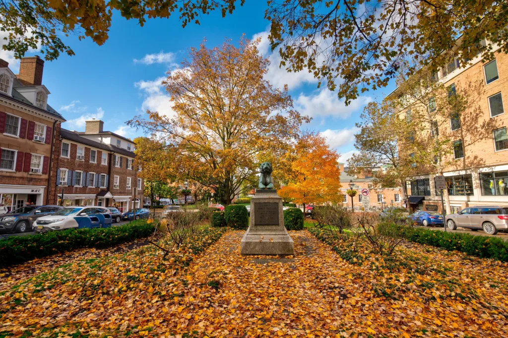 Orange leaves falling in Palmer Square