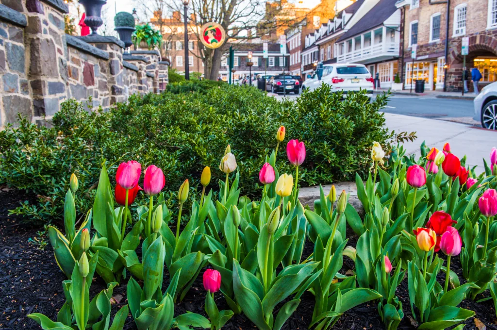 downtown princeton hotel
