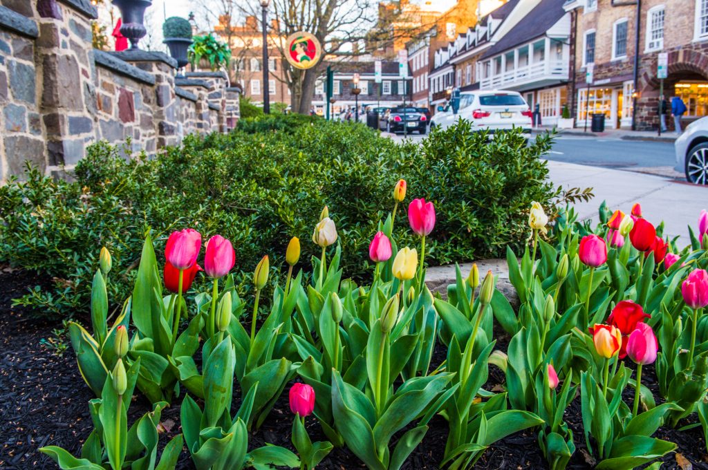 downtown princeton hotel