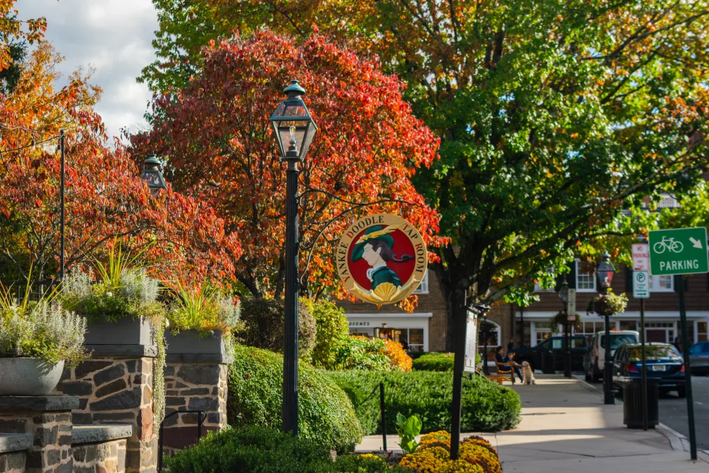 Tap Room Patio in Fall