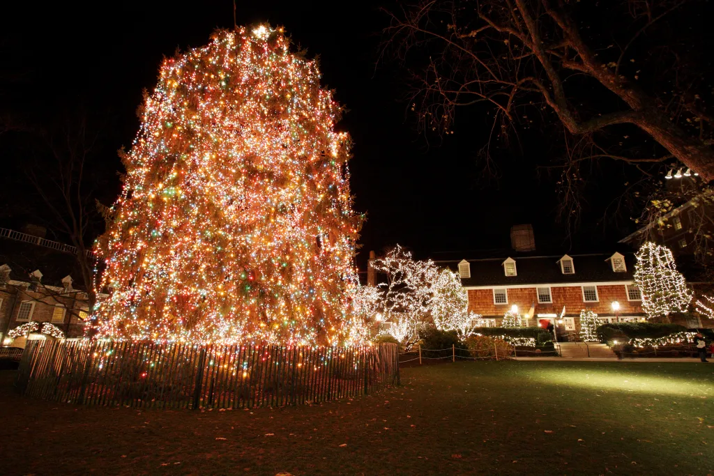 Palmer Square Christmas Tree 