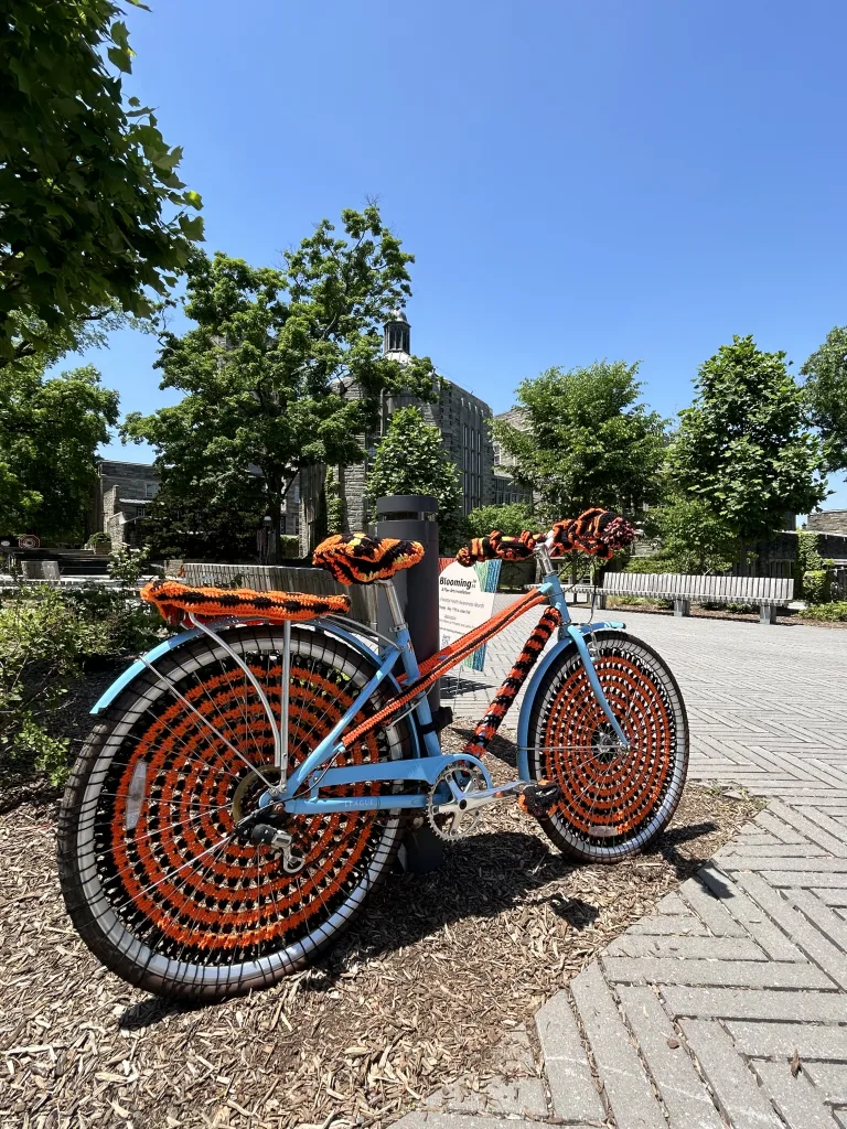 princeton alumni weekend 2